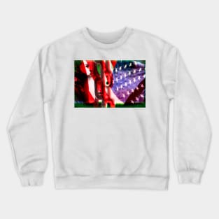 Free From Racist Chains Crewneck Sweatshirt